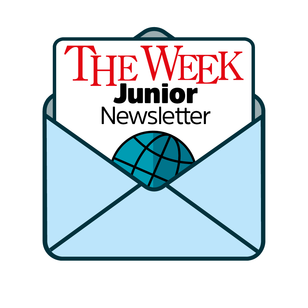 TWJ Newsletter